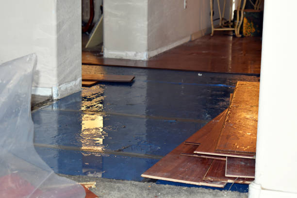 Professional Flood Cleanup technician working in Duxbury, MA